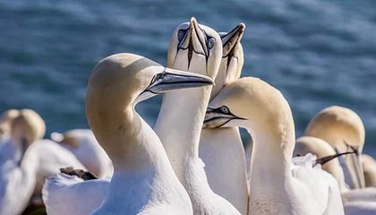 九游登录入口：开启极致游戏体验的新入口